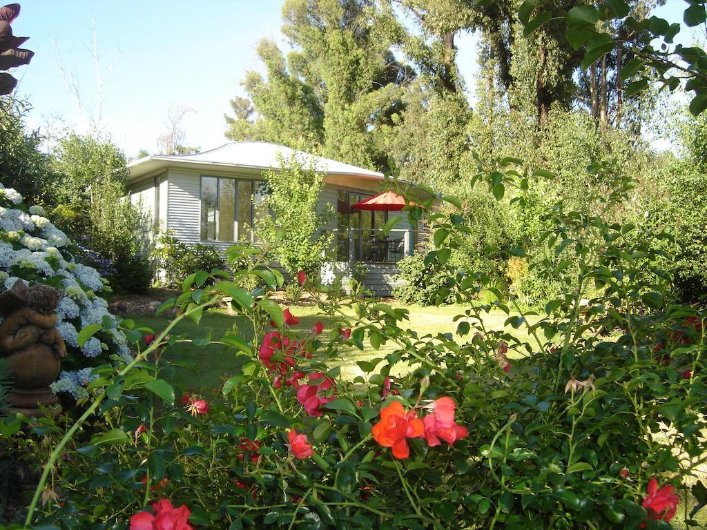 מריסוויל Dalrymples Guest Cottages מראה חיצוני תמונה